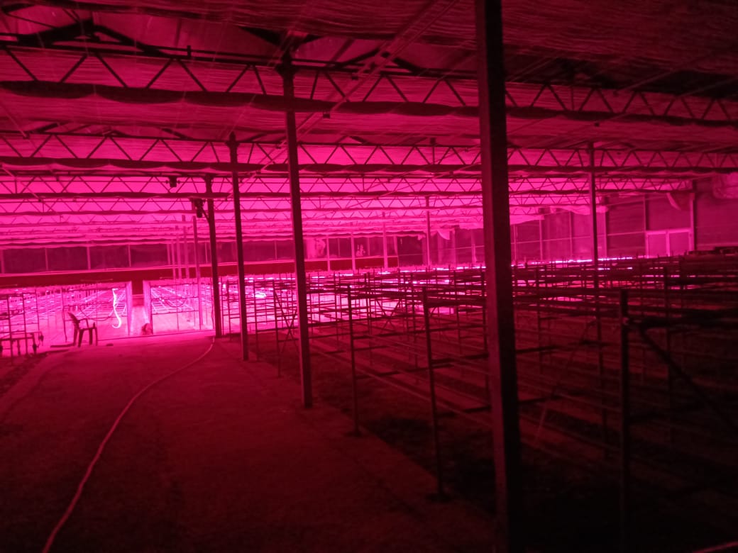 Hitech Precision Green House Janakpur