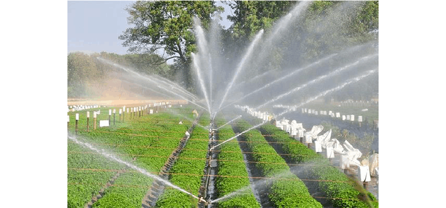 Smart Irrigation