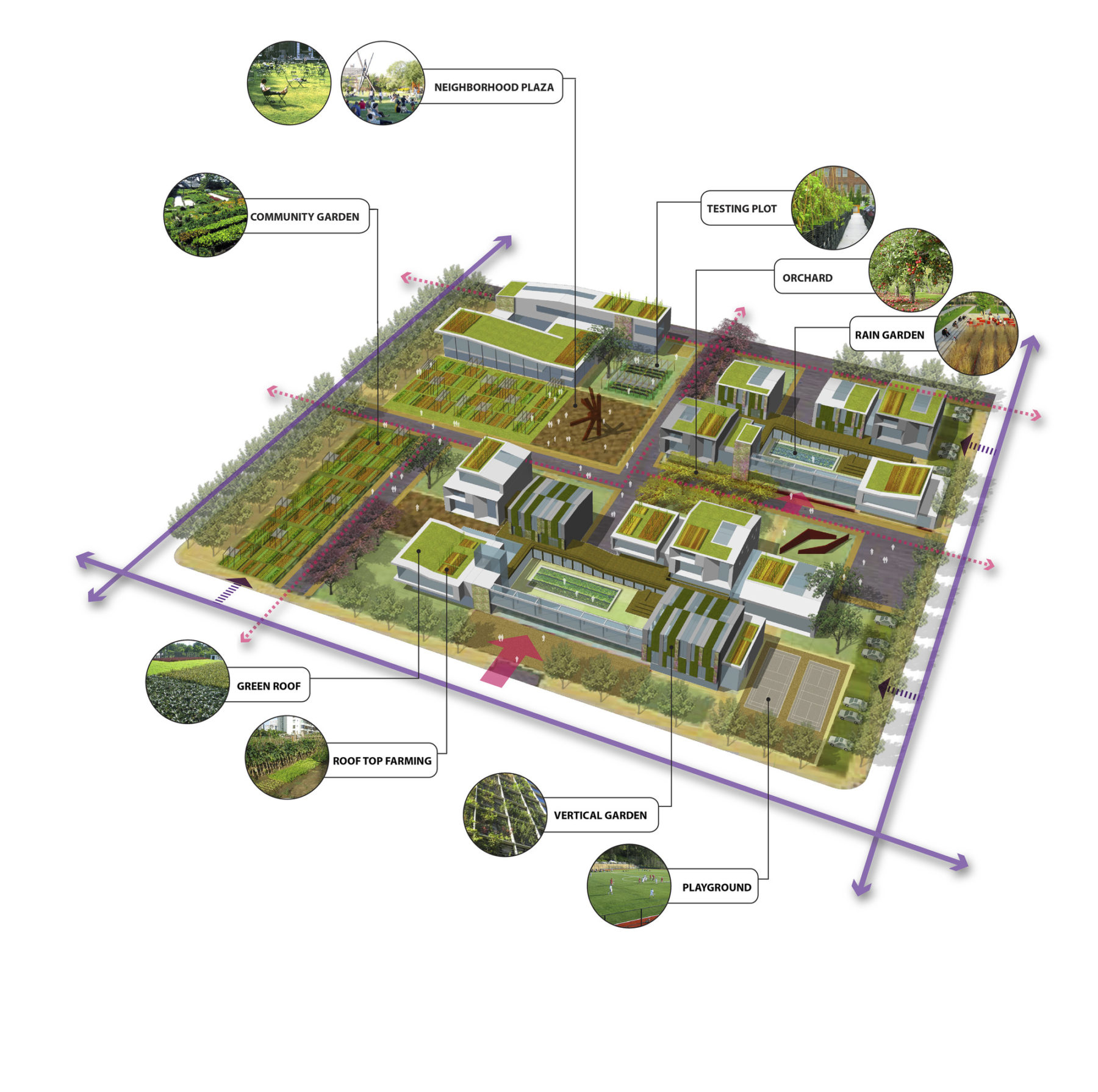 Master Planing and Designing