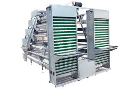A-Type Poultry Cage