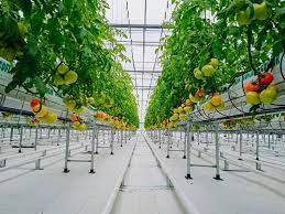 Precision Farm